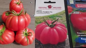 Обзор самых Лучших гибридов томатов для теплицы. Биф- Вкусные, сладкие, мегаурожайные.