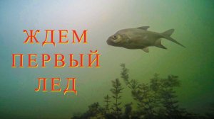 Рыбалка в ожидании первого льда на карьере 2025-2026
