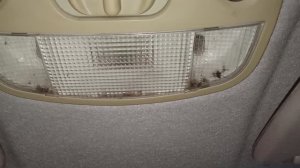 замена лампочки освещения салона на калине