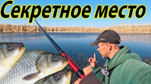 КРУПНЯК НА УДОЧКУ КАРАСИ АТАКУЮТ ТОП РЫБАЛКА НА КАРАСЯ В САРАТОВЕ #рыбалка2025 #карасьнаудочку