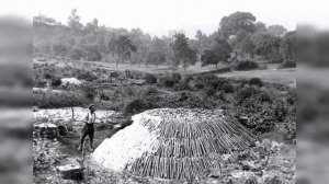 Где взяли столько железа? Технологический тупик Эйфелевой башни и Хрустального дворца