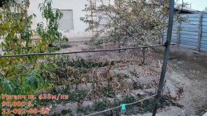 ЯХШИ НАРХДА ХОВЛИ ЖОЙ СОТИЛАДИ УРГАНЧ ВОДНИКДА