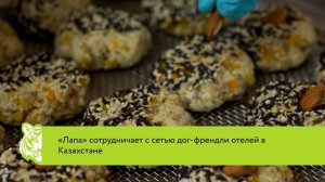 Сделано в Хабаровском крае: компания «Лапа»