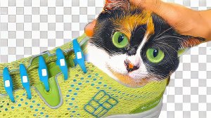 6 ЛАЙФХАКОВ ИЗ КИТAЯ