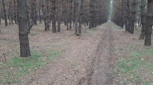 ЛОЖНОЕ ВОСХИЩЕНИЕ! СЛОВО ДАНО БОГОМ ЧЕРЕЗ АПОСТОЛА И ПРОРОКА ИГОРЯ РОМЕНСКОГО 3 ГОДА НАЗАД В ЮТУБЕ!!