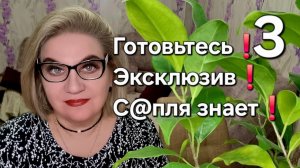 Готовьтесь❗️Эксклюзив❗️С@пля знает❗️