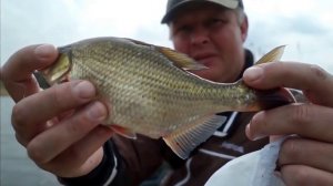 живое фотографие рыбалка, крупная густёра.