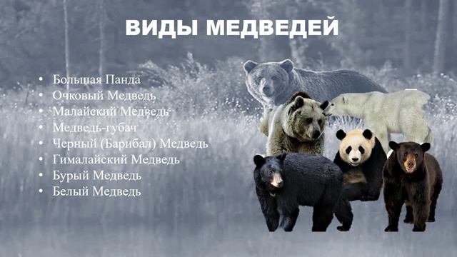 Задание 1. Гамова