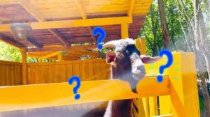 Влад и Никита - Веселые истории про путешествия и приключения