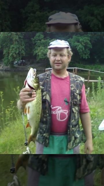 Живое фотографие толстолоб.