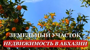 2025. НОВЫЙ Афон. АБХАЗИЯ. Земельный УЧАСТОК с видом НА МОРЕ