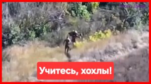 Наши бойцы выносят раненых под огнём