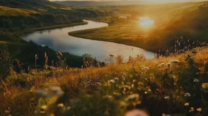 Простые радости.