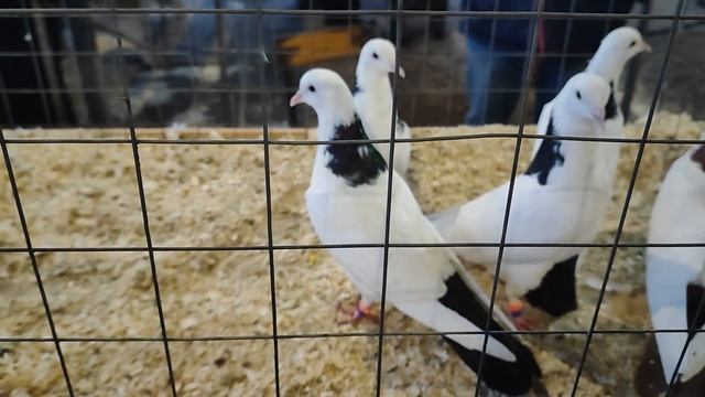 ст.Бронницы Рынок ч.4 смотреть онлайн