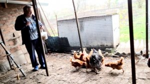 904 Уехали из станицы. Что делать с малиной.Покупки в городе.Вот так куры.