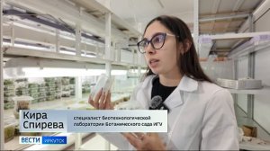 Ученые ИГУ возрождают вымирающие виды лекарственных растений и выращивают здоровую клубнику