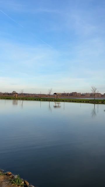 Какой поводок и лучше всего использовать?