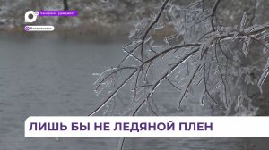 Синоптики и МЧС предупреждают о резком похолодании и сильных осадках в Приморье