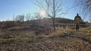 Осенний поход! Природная аптека! Сбор ягод, Шиповник, Боярка.