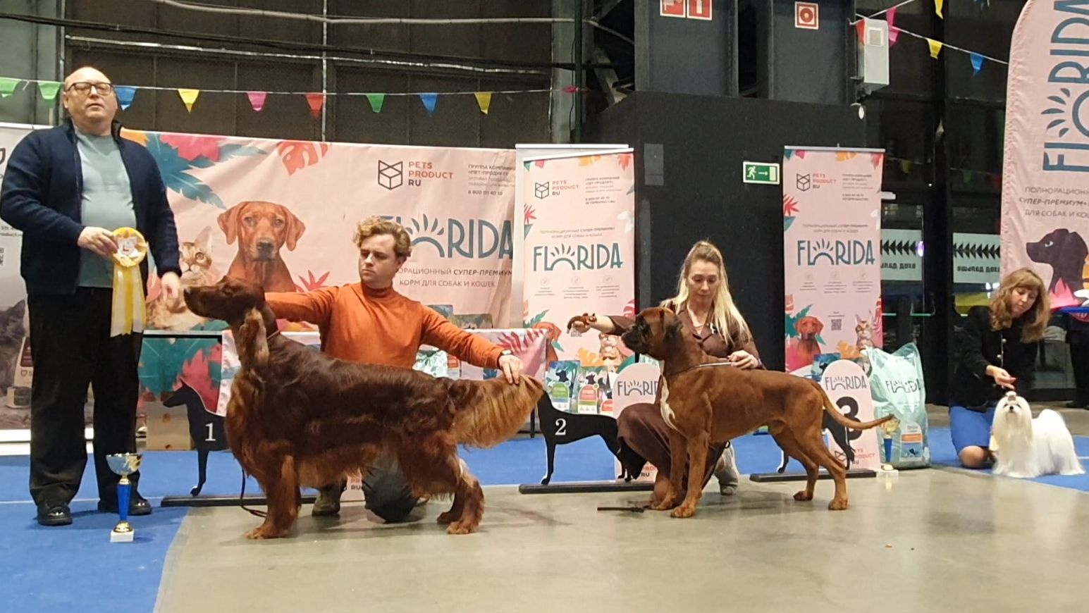 23.11.2025, СПб. Клуб "Вудфал" (РКФ, РФСС). Выставка собак всех пород "НЕВСКАЯ МИСТЕРИЯ" (САС,ЧФ)