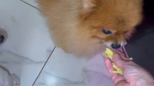 Лишь бы что выпросить.