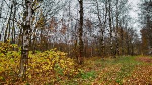 Релакс музыка. Спокойная, успокаивающая музыка для сна | Ecveezer - Don't Cry (New Version)