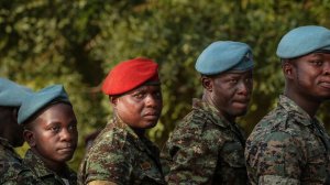 В посольстве России сообщили о стабилизации обстановки в Гвинее-Бисау