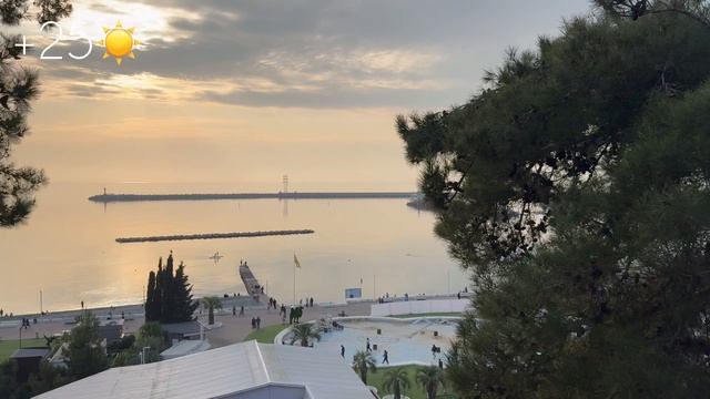 Сочи !!! смотреть онлайн