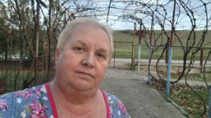 374. Привет из Крыма.  Так будет не всегда... 26.11.25.