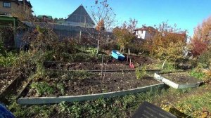 Влог от 14.10.2021