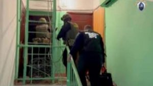 Главу лесничества в Ленобласти задержали за мошенничество, ущерб может достигать 1 млрд руб