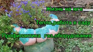 26-11-2025 Из Сибири на юг 💖/Купили дом на юге/Тепло, работа в саду /профилактика газа/