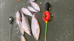 Рыбалка на Братском. село Молька Ловим Спокойно и Размеренно Вкусную Рыбу. Лучшая Рыбалка и Отдых