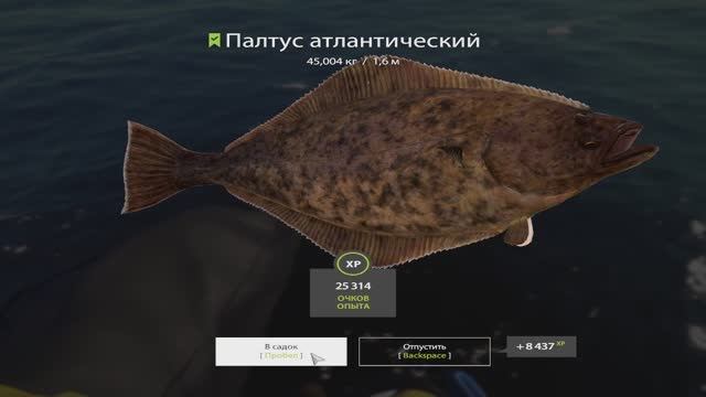 Русская Рыбалка 4. Норвежское море смотреть онлайн