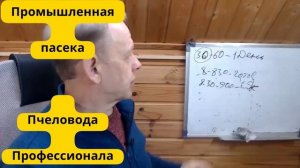 Промышленная пасека профессионального пчеловода как бизнес — Работаем не корпусами, а пасеками