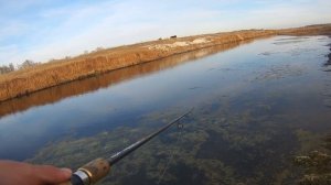 Рыбалка в ноябре на блесну