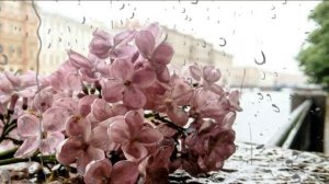 Чужие города #Вертинский #Петрищев