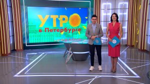 Утро в Петербурге 26 ноября