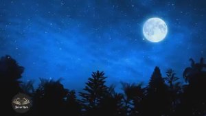 ❤️  Йәә Сииин Сүрәсе 💚Калебләрегезне терелтәчәк ❤️