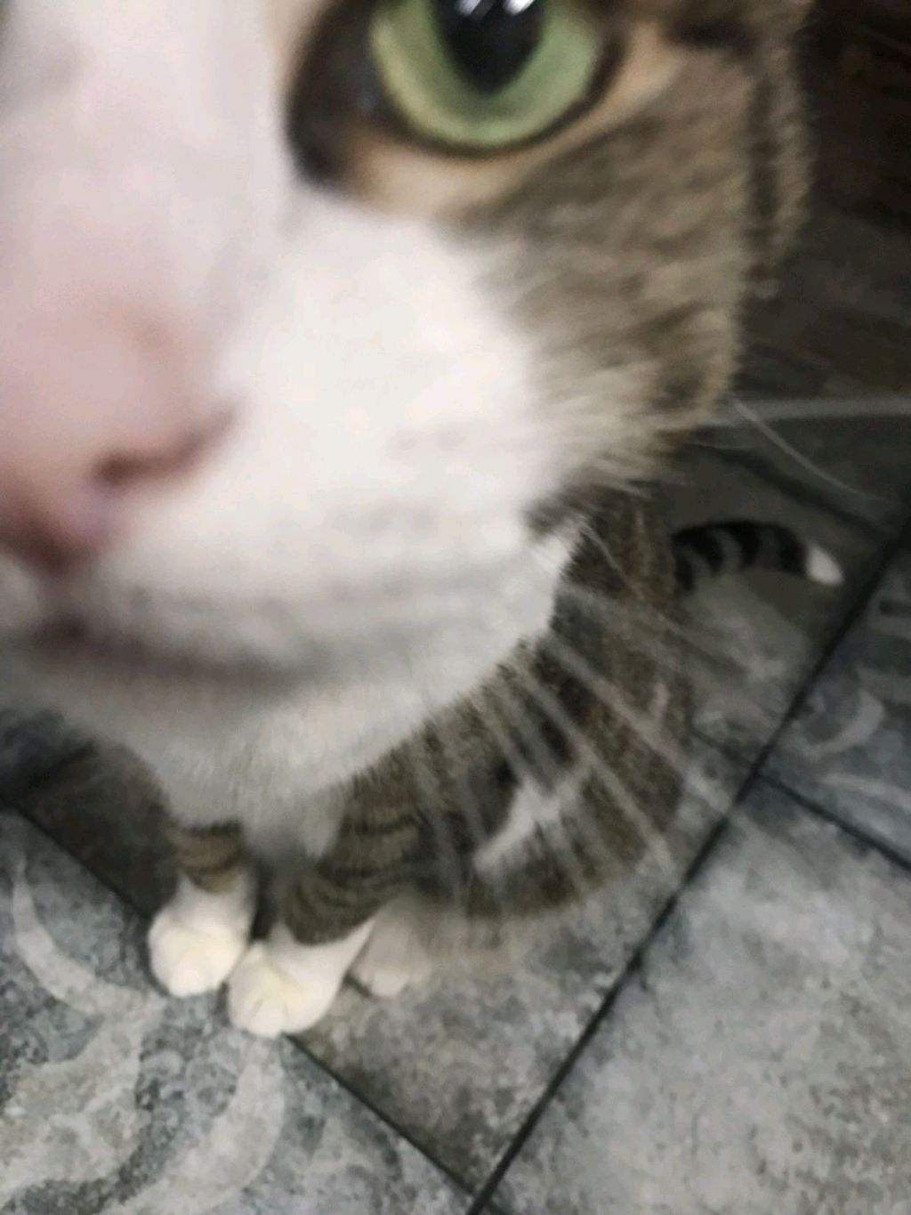 играем в custom PC Tycoon