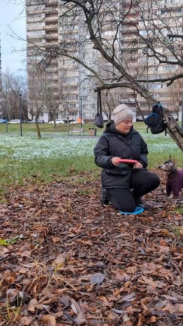 Ксоло Чёла - вольт от колена