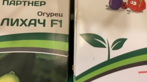 Семена СПб.