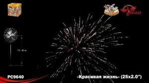 Фейерверк РС9640 Красивая жизнь (2" х 25)