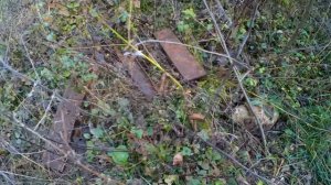 Редкие дни .