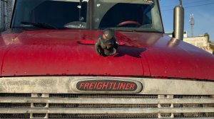 Ох и везет мне с выгрузками