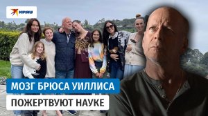 Мозг Брюса Уиллиса пожертвуют для исследований