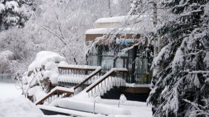 Новосибирский зоопарк превратился в сказку! А как чувствуют себя животные?