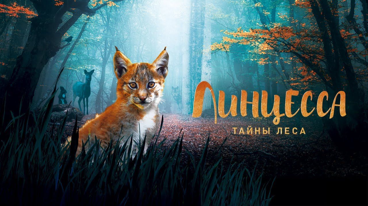Линцесса. Тайны леса смотреть онлайн