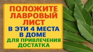 4 места в доме, куда нужно положить лавровый лист, чтобы деньги шли. Приметы