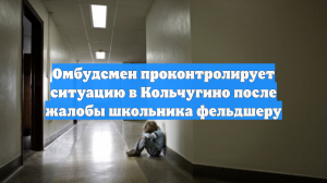 Омбудсмен проконтролирует ситуацию в Кольчугино после жалобы школьника фельдшеру
